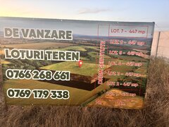 Domnesti- Ilfov, Str Teiului Teren